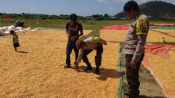 Bhabinkamtibmas Polsek Sape Laksanakan Patroli Sambang Dukung Program Ketahanan Pangan Nasional