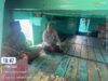 Patroli KRYD Polsek Alas Barat Jalin Silahturahmi dengan Nelayan, Imbau Jaga Keselamatan dan Kelestarian Laut