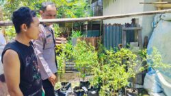 Pekarangan Produktif di Bajur: Upaya Nyata Ketahanan Pangan