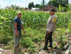 Ketahanan Pangan Jadi Prioritas Polres Lombok Barat