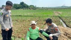 Bripda Iqbal dan Kisah Pengabdian di Ladang