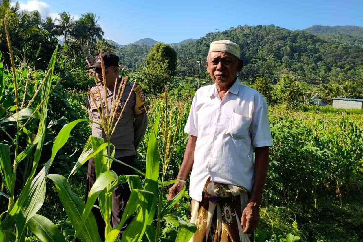Langkah Strategis Polri Jaga Ketahanan Pangan di Desa Mareje Timur
