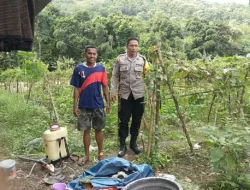 Ketahanan Pangan Dimulai dari Desa: Peran Bhabinkamtibmas di Babussalam