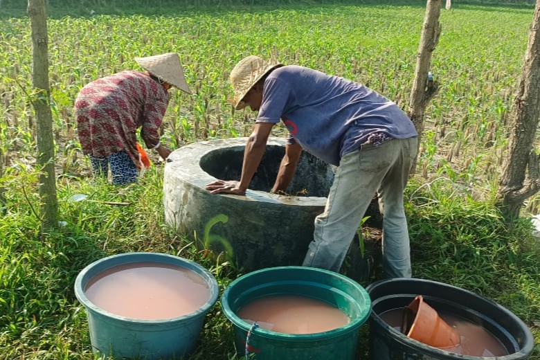 Polsek Gerung Perkuat Ketahanan Pangan Lewat Pendampingan Petani di Babussalam