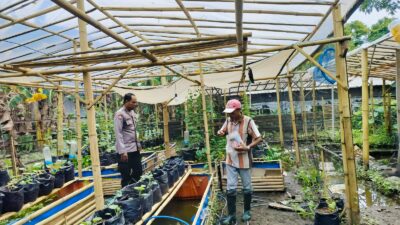 Sinergi Polri dan Warga Bajur dalam Mewujudkan Ketahanan Pangan Berkelanjutan