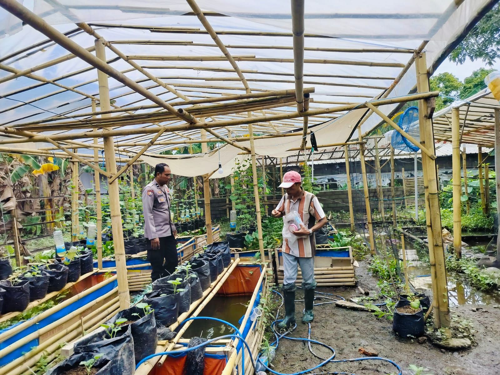 Bhabinkamtibmas Desa Bajur Dorong Kemandirian Pangan Warga Tempit