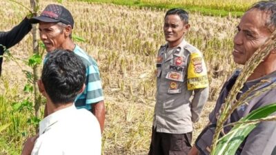 Sinergi Polri dan Warga Desa Rumak Wujudkan Swasembada Pangan dari Pekarangan