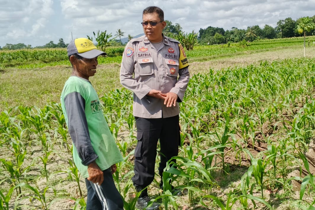 Bhabinkamtibmas Telagawaru Dorong Ketahanan Pangan Warga Paok Kambut
