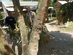 Sinergi Polisi dan Warga Dusun Begende Perkuat Swasembada Pangan