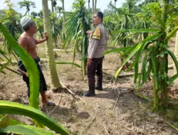 Dusun Gersik Asri Jadi Contoh Sinergi Polri dan Petani