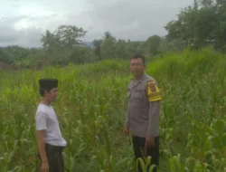DDS di Dusun Long Longan: Polisi Ajak Petani Manfaatkan Lahan Kosong