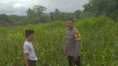 DDS di Dusun Long Longan: Polisi Ajak Petani Manfaatkan Lahan Kosong