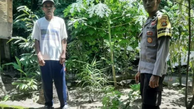 Batulayar Tunjukkan Peran Aktif Warga dalam Ketahanan Pangan Lokal