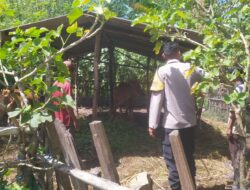 Optimalisasi Lahan Kosong, Polsek Sekotong Dukung Swasembada Pangan