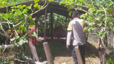 Optimalisasi Lahan Kosong, Polsek Sekotong Dukung Swasembada Pangan