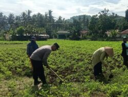 Kolaborasi Polisi dan Warga Kuripan Wujudkan Kemandirian Pangan