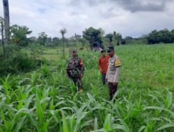 Bypass BIL II Diawasi Ketat, Polres Lobar Cegah Aksi Kriminal