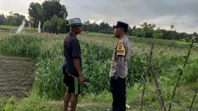 Kuripan Utara Jadi Contoh Penerapan Ketahanan Pangan Rumah Tangga