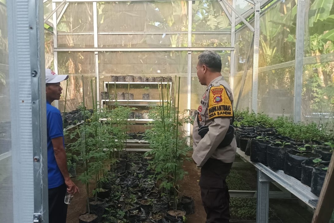 Sinergi Polsek Batulayar dan Warga untuk Pangan Mandiri