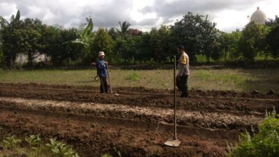 Sinergi Petani dan Polisi di Lombok Barat Perkuat Swasembada Pangan