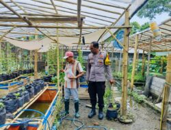 Pemanfaatan Pekarangan Rumah di Dusun Tempit Jadi Contoh Ketahanan Pangan Berbasis Warga