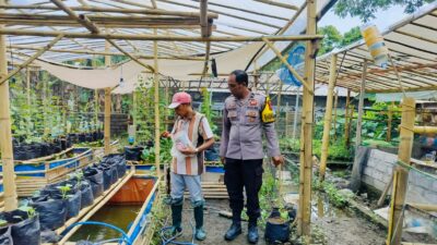 Bhabinkamtibmas Ajak Warga Dusun Tempit Tanam Sayur di Pekarangan Rumah
