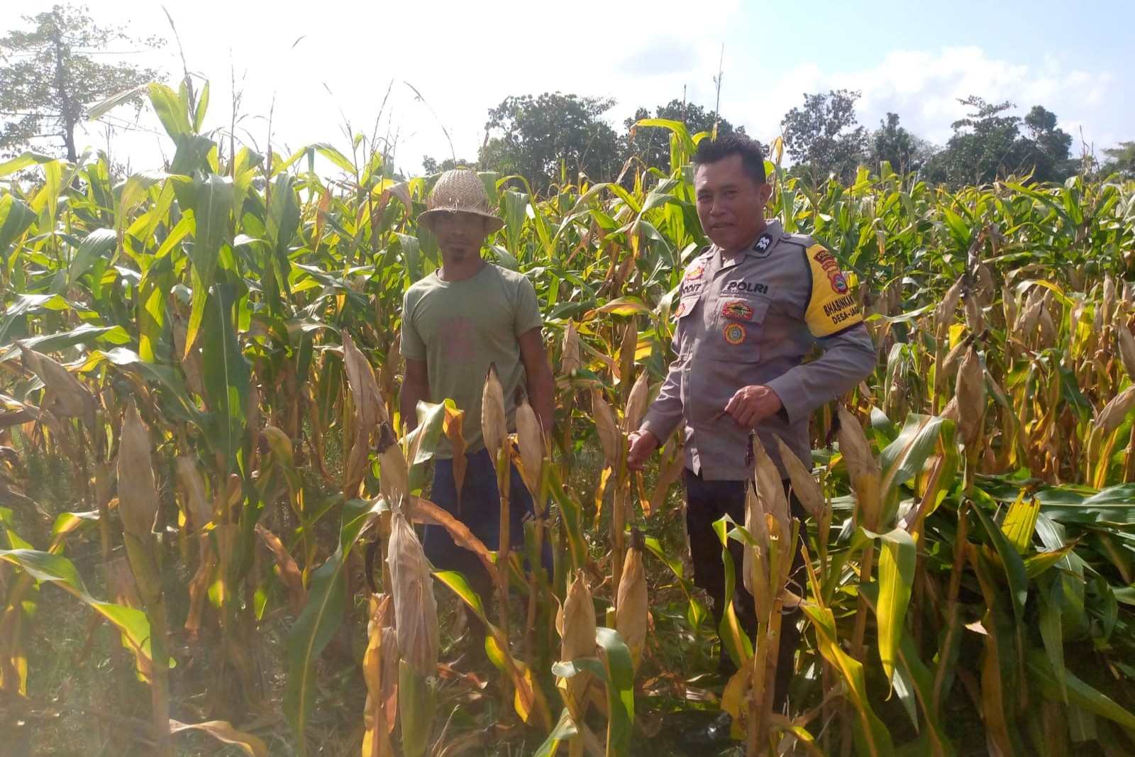 Bhabinkamtibmas Dorong Pemanfaatan Lahan untuk Ketahanan Pangan di Dusun Tambang Eleh
