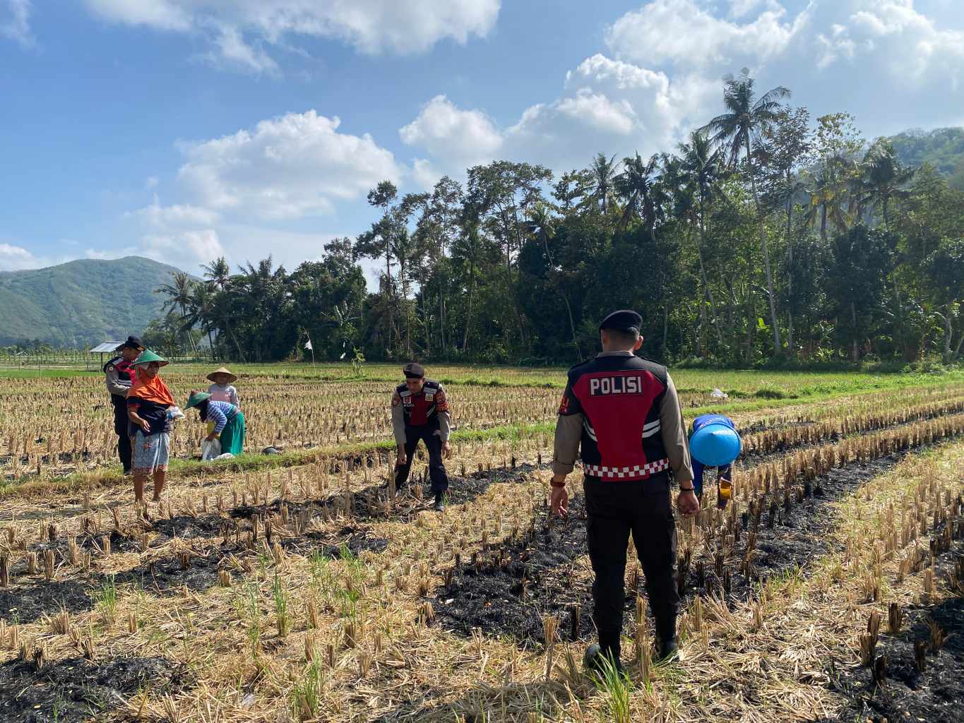Polres Lombok Barat Dampingi Petani Jagung Desa Kebon Ayu untuk Ketahanan Pangan