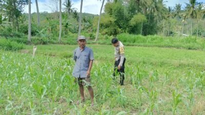Ketahanan Pangan di Desa Cendi Manik Diperkuat Lewat Pendampingan Polisi