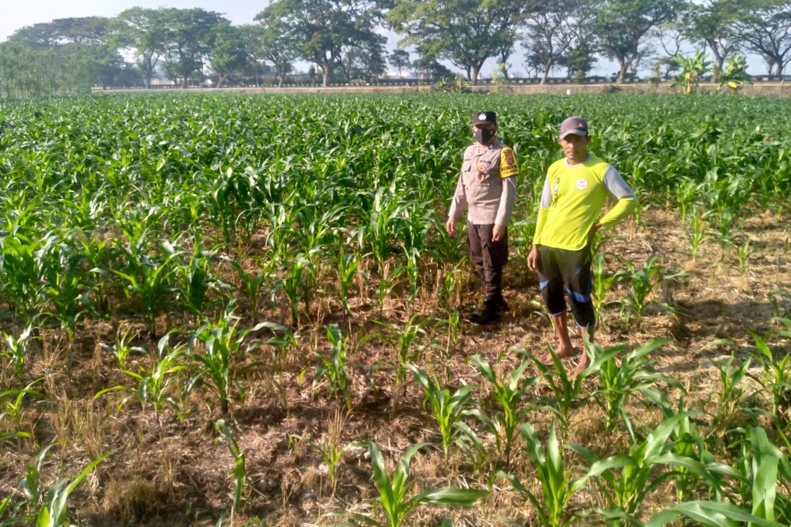Kolaborasi Polisi dan Petani di Jagaraga untuk Wujudkan Lumbung Pangan Lokal
