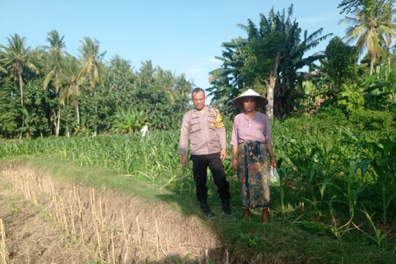 Kunjungan Humanis Bhabinkamtibmas di Kuranji, Pekarangan Jadi Sumber Pangan