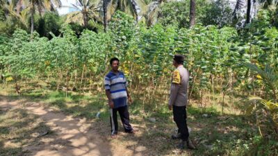 Sinergi Polsek Sekotong dan Warga Pelangan dalam Mewujudkan Kemandirian Pangan