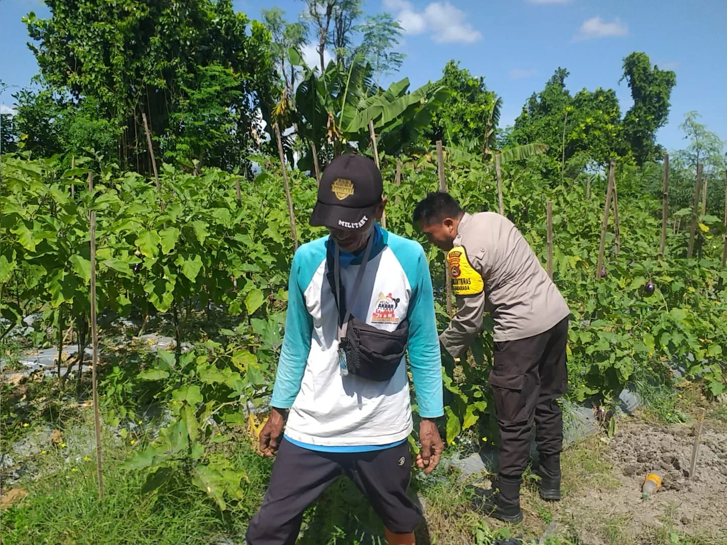 Bhabinkamtibmas Ajak Warga Optimalkan Pekarangan untuk Ketahanan Pangan