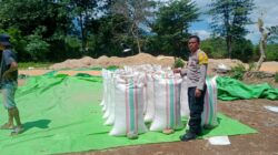 BHABINKAMTIBMAS DESA WOKO PANTAU AKTIVITAS WARGA BINAAN SAAT MENJUAL HASIL PANEN JAGUNG