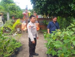 Gerakan Tanam Mandiri, Bhabinkamtibmas Kuripan Perkuat Ketahanan Pangan Lokal