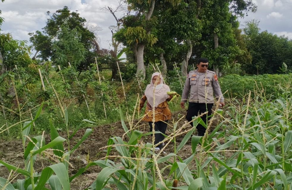 Polisi Ajak Warga Lombok Barat Wujudkan Desa Mandiri Pangan