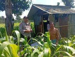 Bhabinkamtibmas Labuapi Ajak Warga Lombok Barat Lakukan Swasembada Pangan di Pekarangan