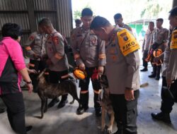 Polda Sumut Kerahkan Unit K9 untuk Percepat Pencarian Korban Banjir Bandang dan Longsor di Tapteng–Sibolga
