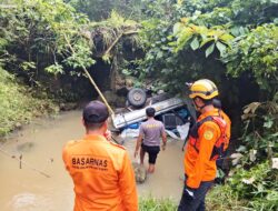 Hindari Lubang, Mobil Pick-up Terjun ke Jurang Batu Pusit Lunyuk, Polisi Bantu Evakuasi