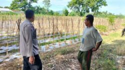 Polri Ajak Warga Lombok Barat Ubah Lahan Kosong Jadi Sumber Pangan Produktif