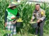 Polisi Dorong Swasembada Pangan di Bagik Polak Barat