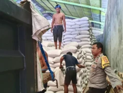 Polri Kawal Ketat Distribusi Puluhan Ton Jagung Mareje Timur ke Bulog, Pastikan Petani Sejahtera