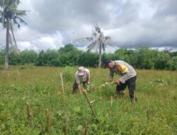 Bhabinkamtibmas Desa Tolo’oi Edukasi Petani Diversifikasi Lahan Pekarangan