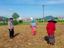 Bhabinkamtibmas Karang Bongkot Pantau Aktivitas Petani Sawah