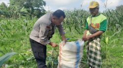 Polsek Labuapi Dorong Ketahanan Pangan di Bagik Polak Barat