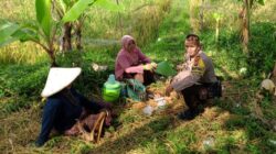 Dukung Program Presiden, Polsek Labuapi Cek Pangan Terong Tawah
