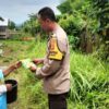Polsek Labuapi Sulap Lahan Kosong Jadi Sumber Pangan di Lombok Barat