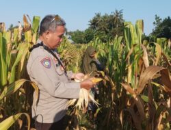 Polisi Ajak Warga Sandik Lombok Barat Manfaatkan Lahan Kosong