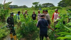 Strategi Polsek Batulayar Perkuat Ketahanan Pangan Desa