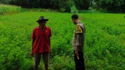 Langkah Kreatif Warga Lombok Barat Sulap Pekarangan Kosong Jadi Sumber Ketahanan Pangan Mandiri